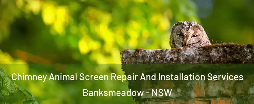 Chimney Animal Screen Repair And Installation Services Banksmeadow - NSW