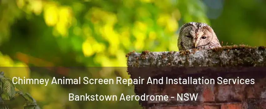 Chimney Animal Screen Repair And Installation Services Bankstown Aerodrome - NSW