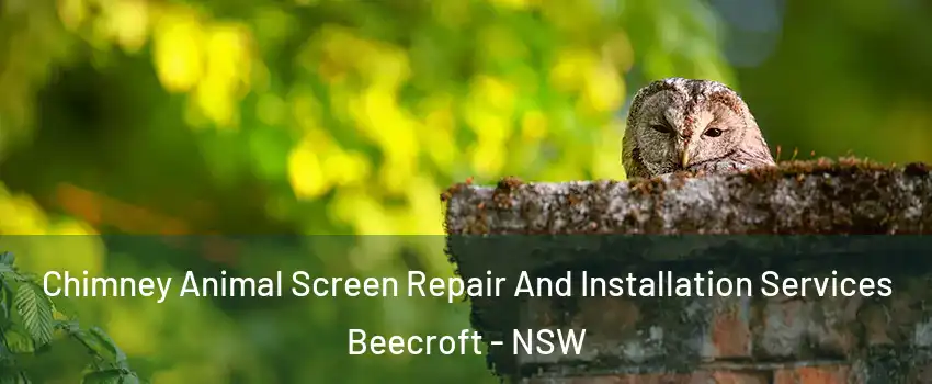  Chimney Animal Screen Repair And Installation Services Beecroft - NSW
