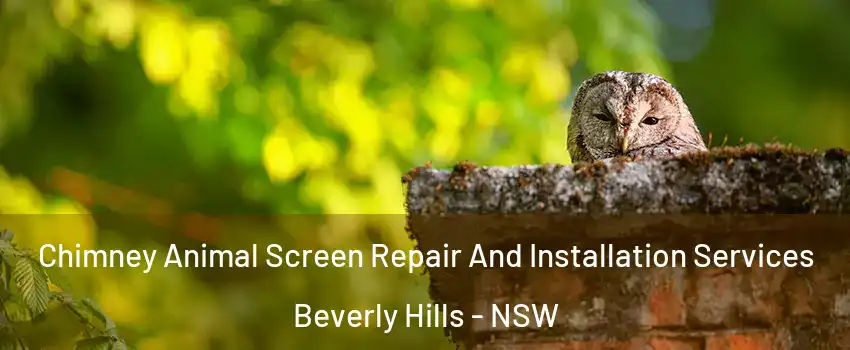 Chimney Animal Screen Repair And Installation Services Beverly Hills - NSW