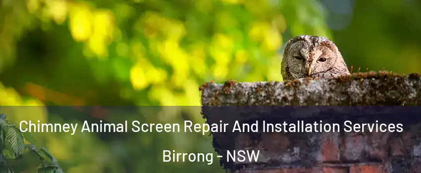 Chimney Animal Screen Repair And Installation Services Birrong - NSW