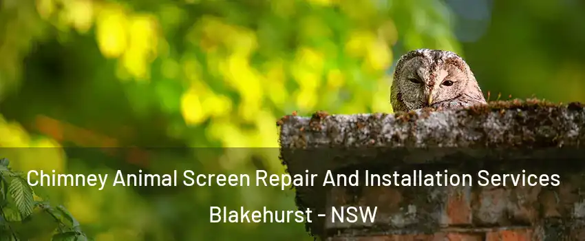 Chimney Animal Screen Repair And Installation Services Blakehurst - NSW