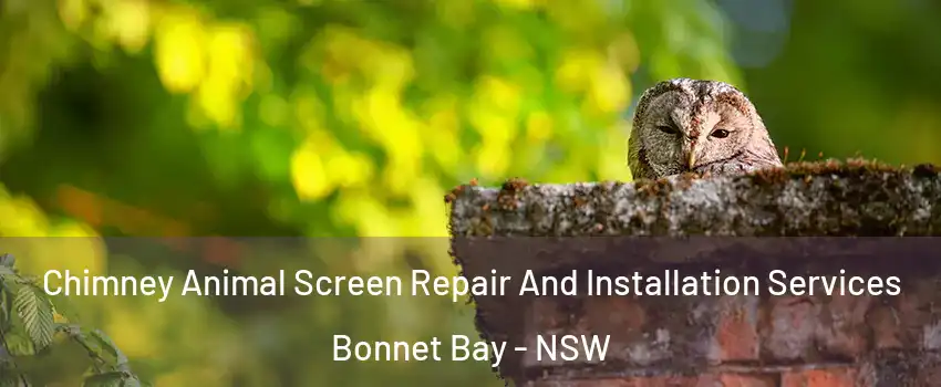 Chimney Animal Screen Repair And Installation Services Bonnet Bay - NSW