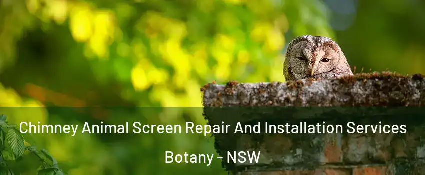 Chimney Animal Screen Repair And Installation Services Botany - NSW