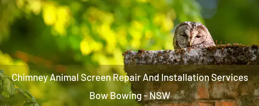 Chimney Animal Screen Repair And Installation Services Bow Bowing - NSW