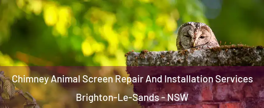 Chimney Animal Screen Repair And Installation Services Brighton-Le-Sands - NSW
