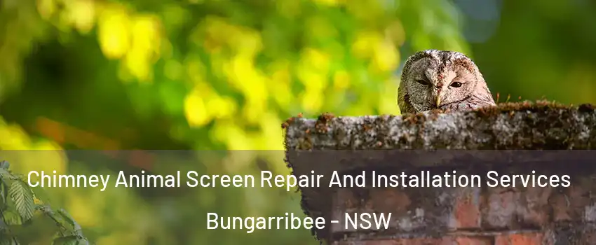 Chimney Animal Screen Repair And Installation Services Bungarribee - NSW