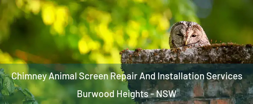 Chimney Animal Screen Repair And Installation Services Burwood Heights - NSW