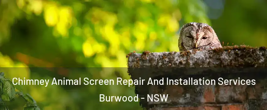 Chimney Animal Screen Repair And Installation Services Burwood - NSW