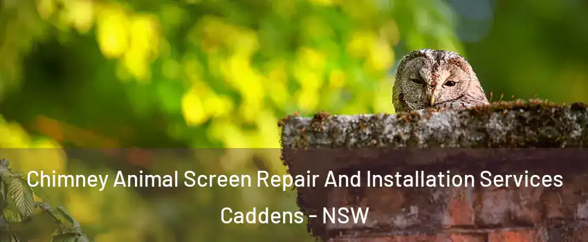 Chimney Animal Screen Repair And Installation Services Caddens - NSW