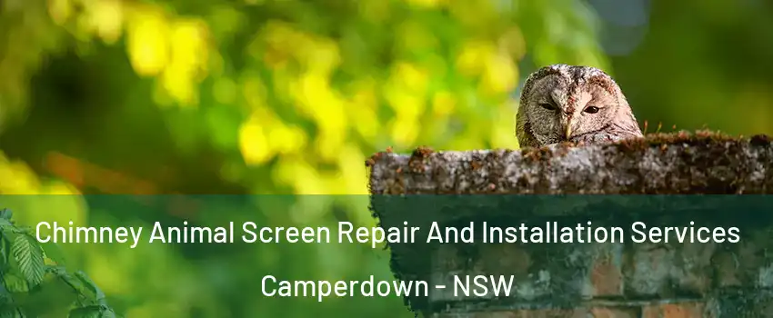 Chimney Animal Screen Repair And Installation Services Camperdown - NSW