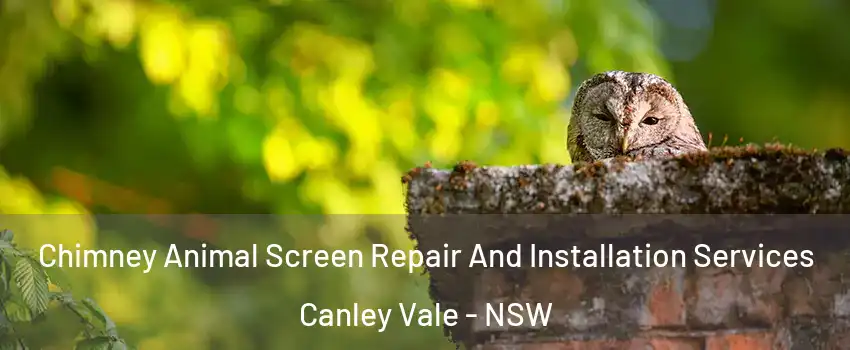  Chimney Animal Screen Repair And Installation Services Canley Vale - NSW