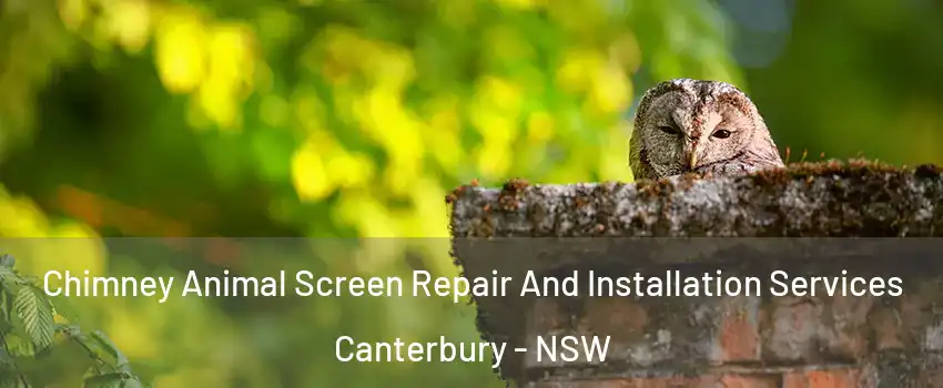 Chimney Animal Screen Repair And Installation Services Canterbury - NSW