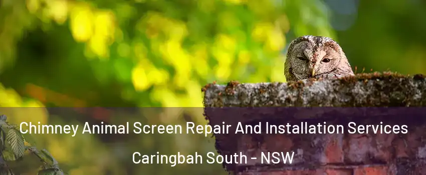 Chimney Animal Screen Repair And Installation Services Caringbah South - NSW