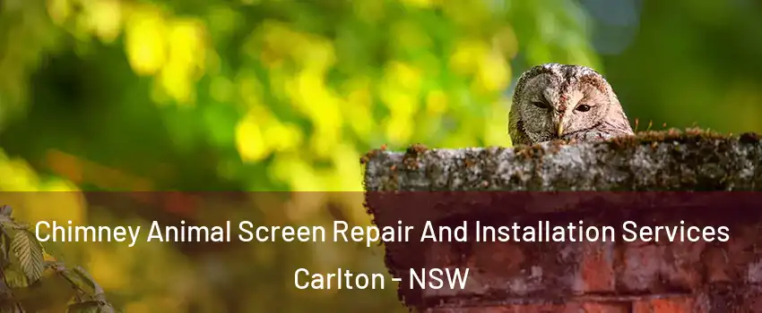 Chimney Animal Screen Repair And Installation Services Carlton - NSW