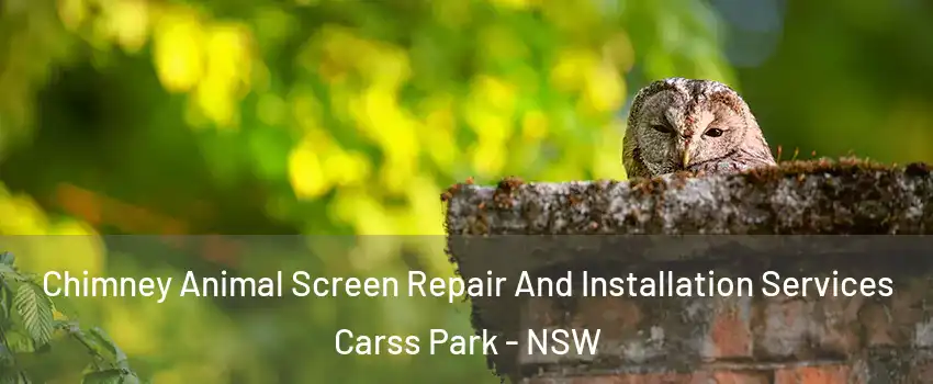 Chimney Animal Screen Repair And Installation Services Carss Park - NSW