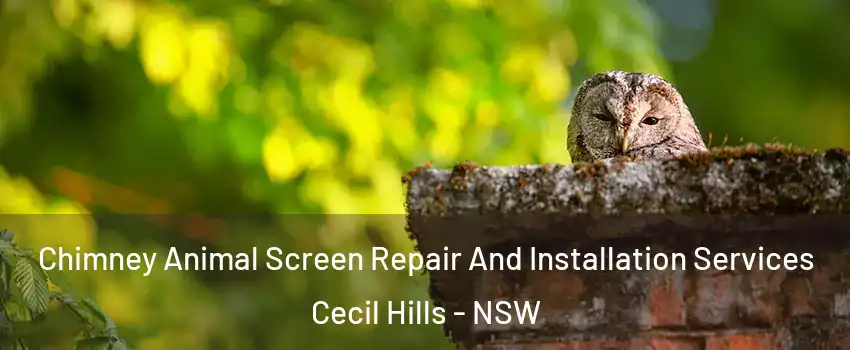 Chimney Animal Screen Repair And Installation Services Cecil Hills - NSW