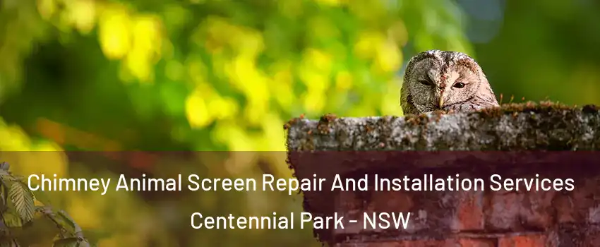 Chimney Animal Screen Repair And Installation Services Centennial Park - NSW
