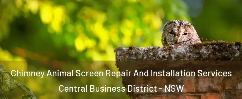 Chimney Animal Screen Repair And Installation Services Central Business District - NSW