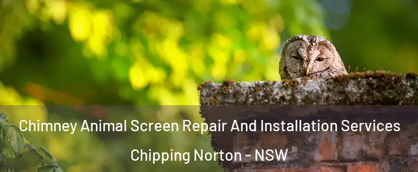 Chimney Animal Screen Repair And Installation Services Chipping Norton - NSW