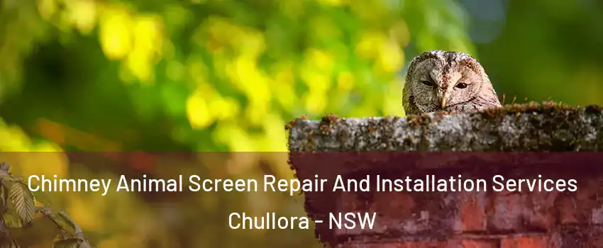 Chimney Animal Screen Repair And Installation Services Chullora - NSW
