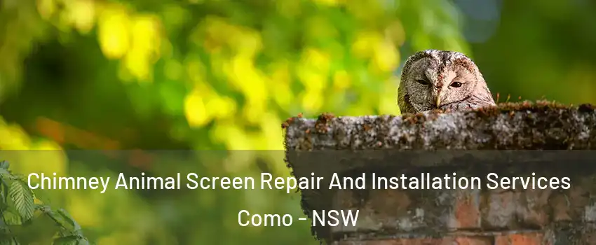 Chimney Animal Screen Repair And Installation Services Como - NSW