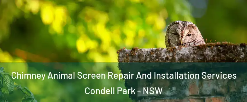 Chimney Animal Screen Repair And Installation Services Condell Park - NSW