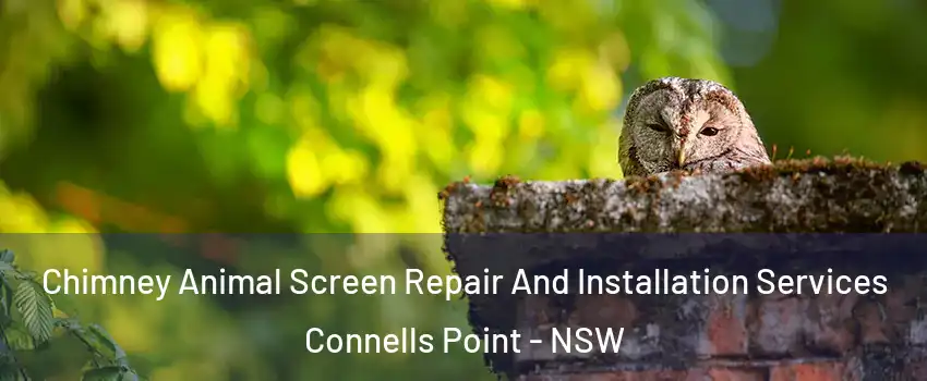 Chimney Animal Screen Repair And Installation Services Connells Point - NSW