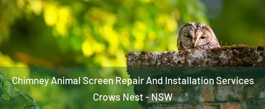 Chimney Animal Screen Repair And Installation Services Crows Nest - NSW
