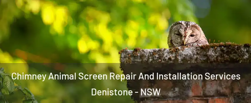 Chimney Animal Screen Repair And Installation Services Denistone - NSW