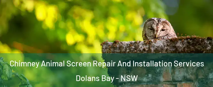 Chimney Animal Screen Repair And Installation Services Dolans Bay - NSW