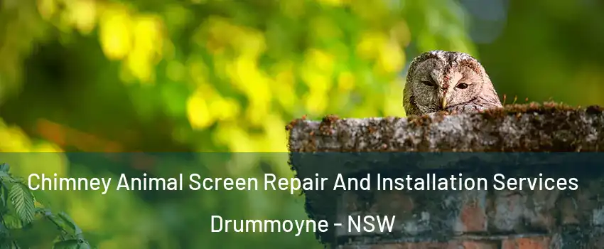 Chimney Animal Screen Repair And Installation Services Drummoyne - NSW