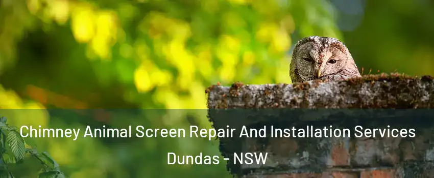 Chimney Animal Screen Repair And Installation Services Dundas - NSW