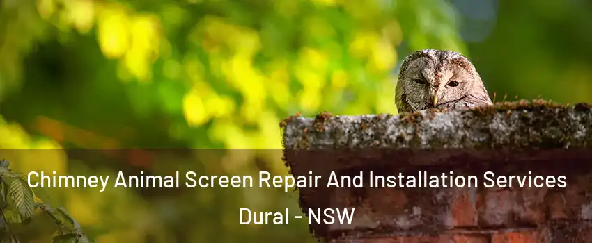 Chimney Animal Screen Repair And Installation Services Dural - NSW