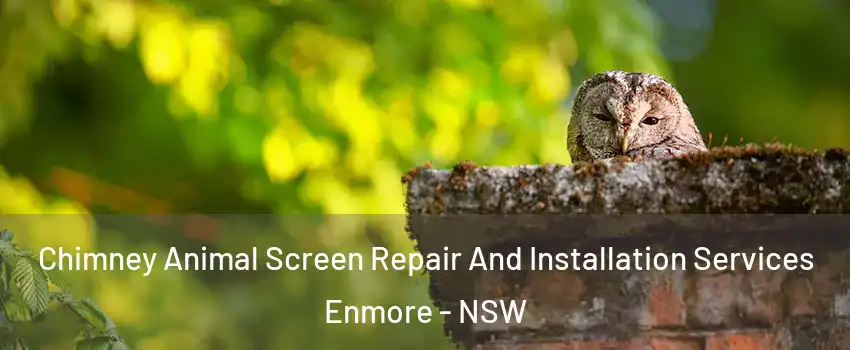 Chimney Animal Screen Repair And Installation Services Enmore - NSW