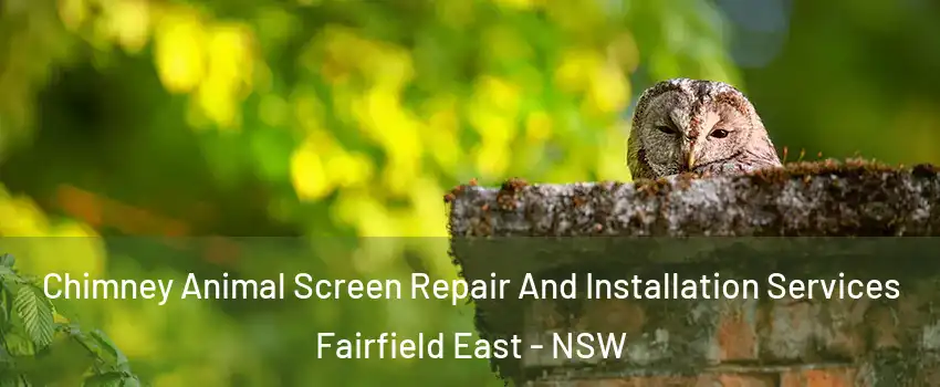 Chimney Animal Screen Repair And Installation Services Fairfield East - NSW