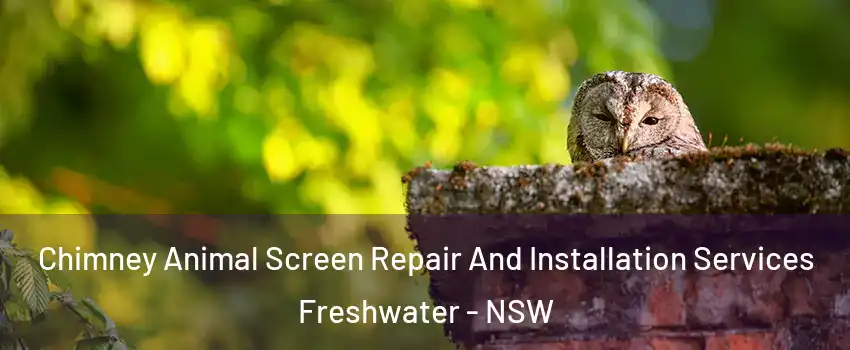 Chimney Animal Screen Repair And Installation Services Freshwater - NSW