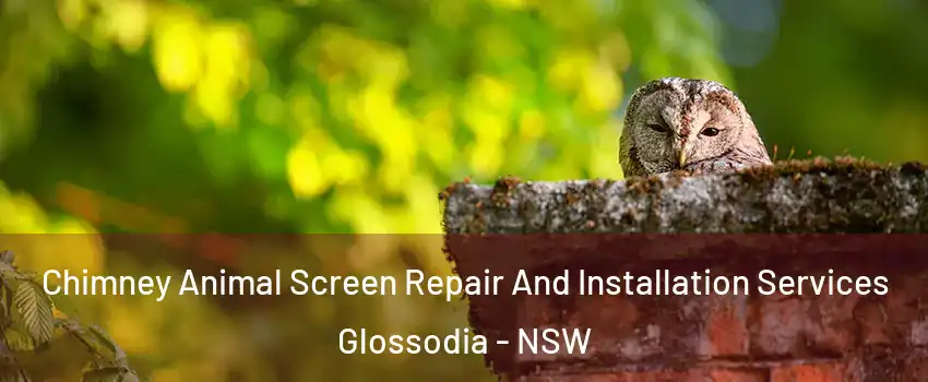 Chimney Animal Screen Repair And Installation Services Glossodia - NSW