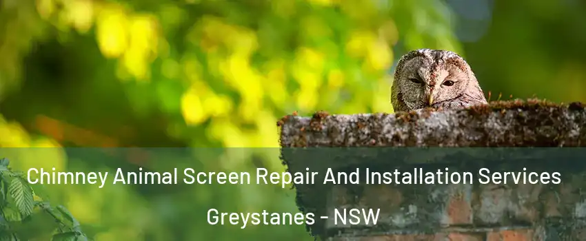 Chimney Animal Screen Repair And Installation Services Greystanes - NSW