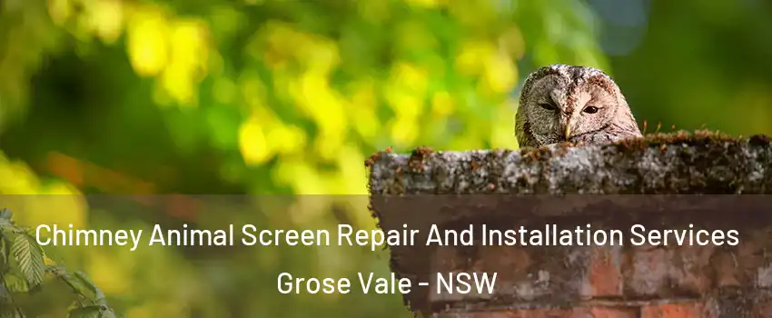 Chimney Animal Screen Repair And Installation Services Grose Vale - NSW