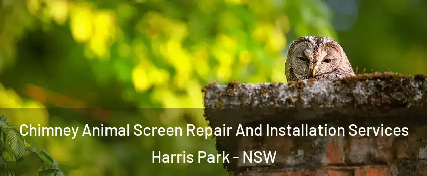 Chimney Animal Screen Repair And Installation Services Harris Park - NSW