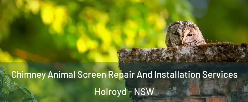 Chimney Animal Screen Repair And Installation Services Holroyd - NSW