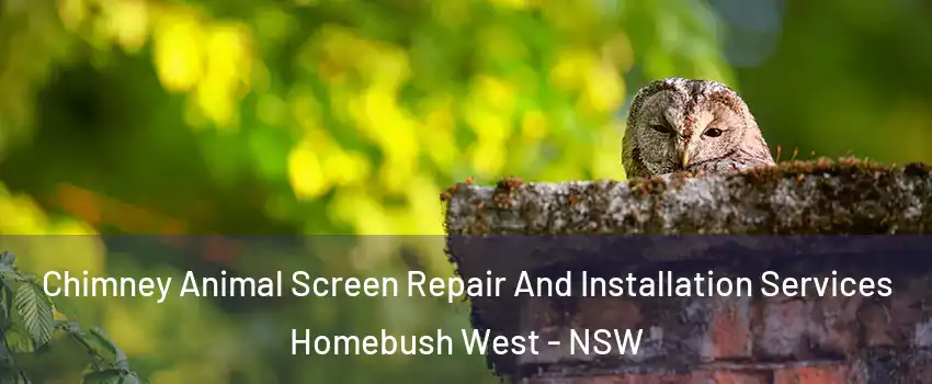 Chimney Animal Screen Repair And Installation Services Homebush West - NSW
