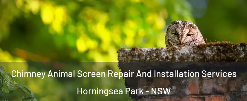 Chimney Animal Screen Repair And Installation Services Horningsea Park - NSW