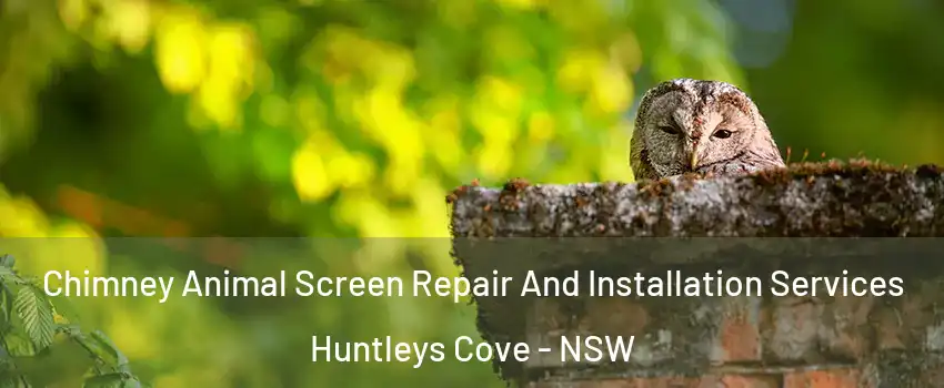 Chimney Animal Screen Repair And Installation Services Huntleys Cove - NSW