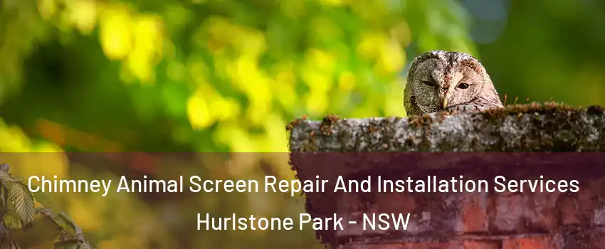 Chimney Animal Screen Repair And Installation Services Hurlstone Park - NSW