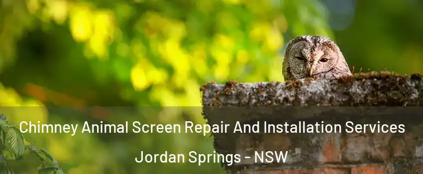 Chimney Animal Screen Repair And Installation Services Jordan Springs - NSW