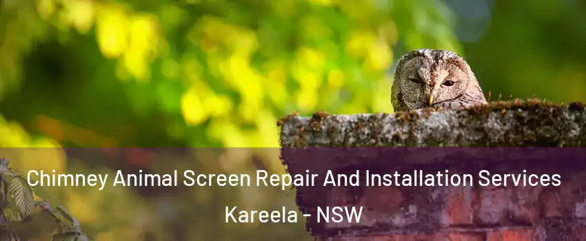 Chimney Animal Screen Repair And Installation Services Kareela - NSW
