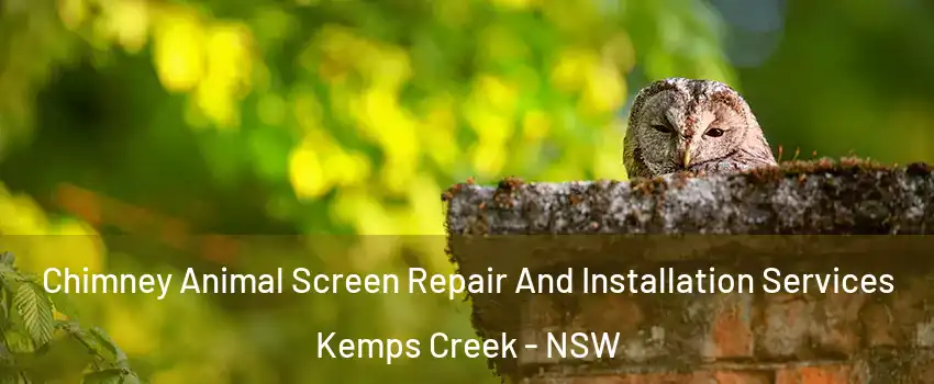 Chimney Animal Screen Repair And Installation Services Kemps Creek - NSW