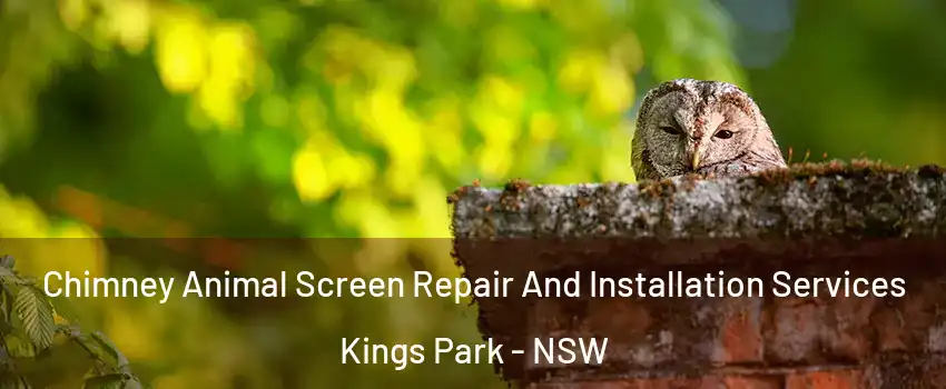 Chimney Animal Screen Repair And Installation Services Kings Park - NSW
